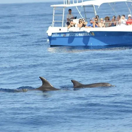 Apartment Flamingos Luxurious-royal Flamingos